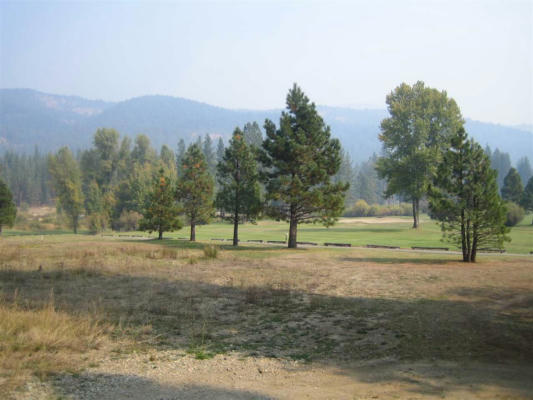 500 POPLAR VALLEY RD, BLAIRSDEN, CA 96103, photo 4 of 6