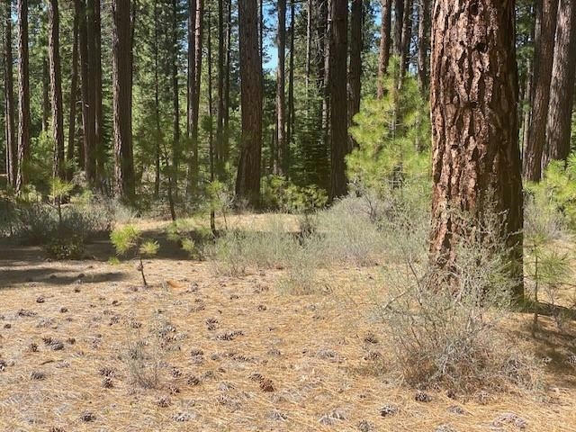 709 REDTAIL LOOP RD, CLIO, CA 96106, photo 1 of 9