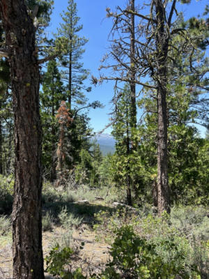 1220 RACOON RD, CLIO, CA 96106 - Image 1