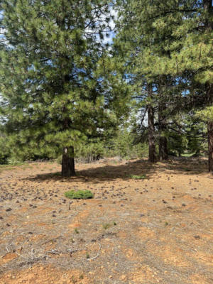 55 CREEKHAVEN DR, LAKE ALMANOR, CA 96137 - Image 1