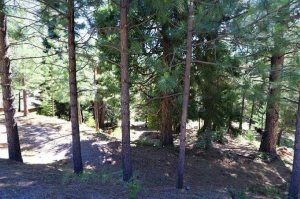 268 OSPREY LOOP, LAKE ALMANOR WEST, CA 96020, photo 4 of 4