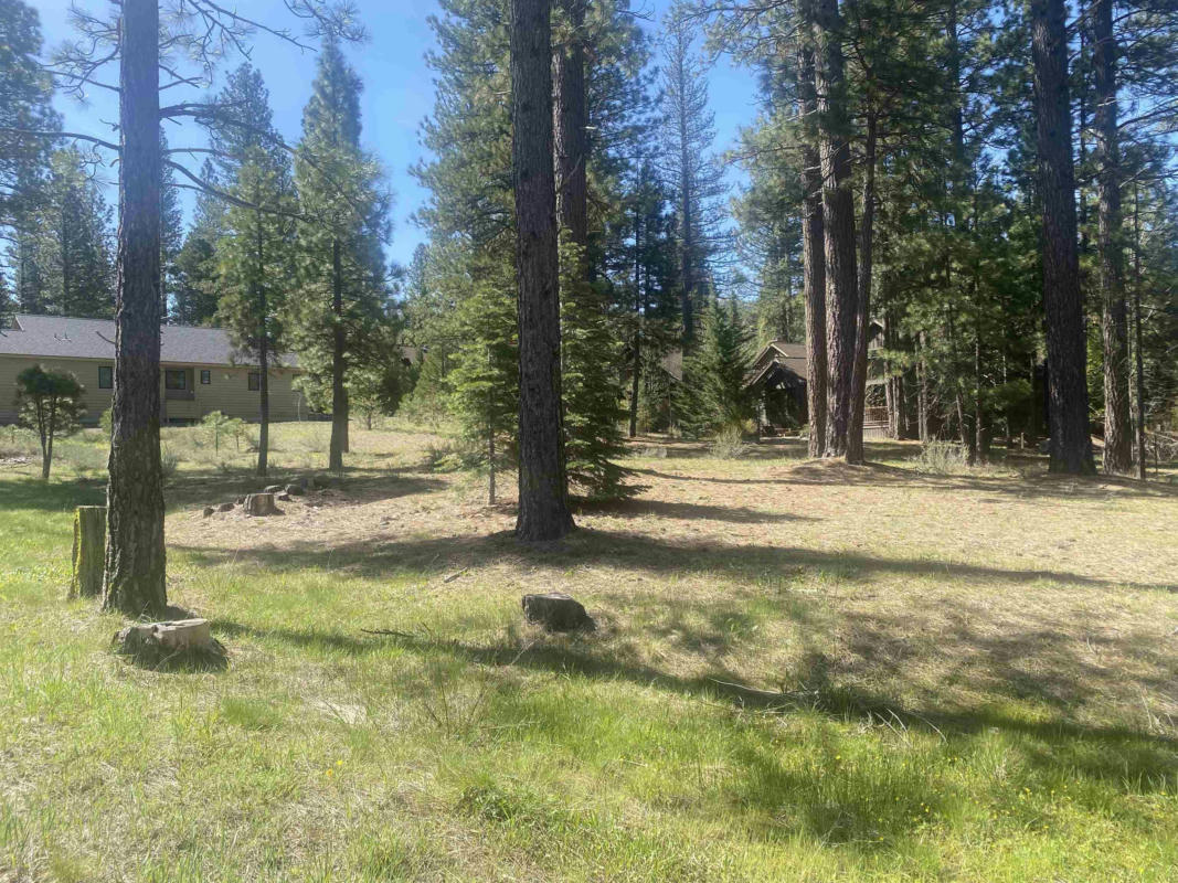 46 FOREST HTS, CLIO, CA 96106, photo 1 of 12