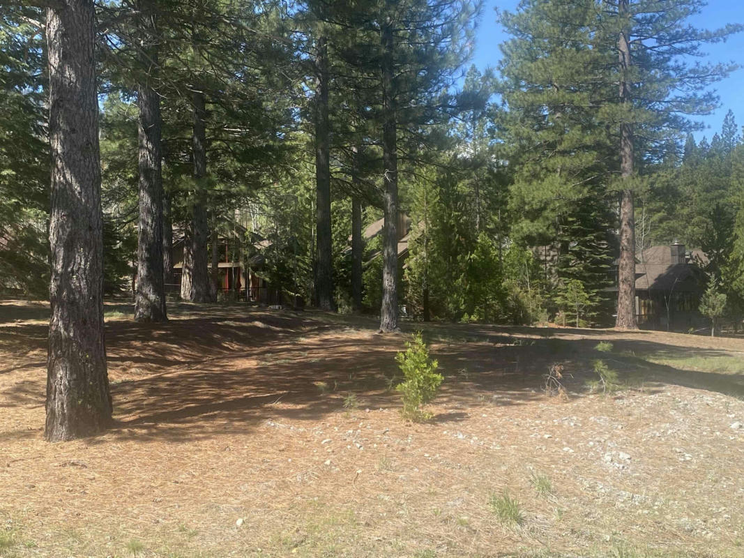 104 FOREST HTS, CLIO, CA 96106, photo 1 of 13